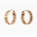 dior-earrings-9 dior-earrings-9