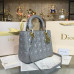 dior-handbag-36 dior-handbag-36