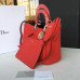 dior-handbag-55 dior-handbag-55