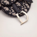 dior-saddle dior-saddle