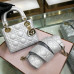 lady-dior-113 lady-dior-113