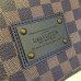 louis-vuitton-brooklyn-replica-bag louis-vuitton-brooklyn-replica-bag