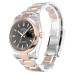 rolex-datejust-116201-2 rolex-datejust-116201-2
