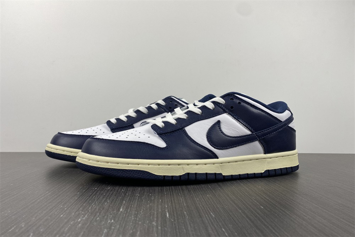 Nike Dunk Low  DD1503-115