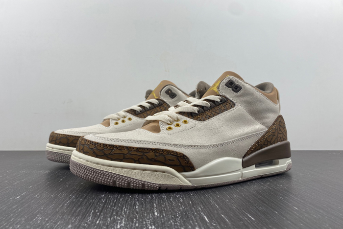Air Jordan 3 “Palomino” CT8532-102