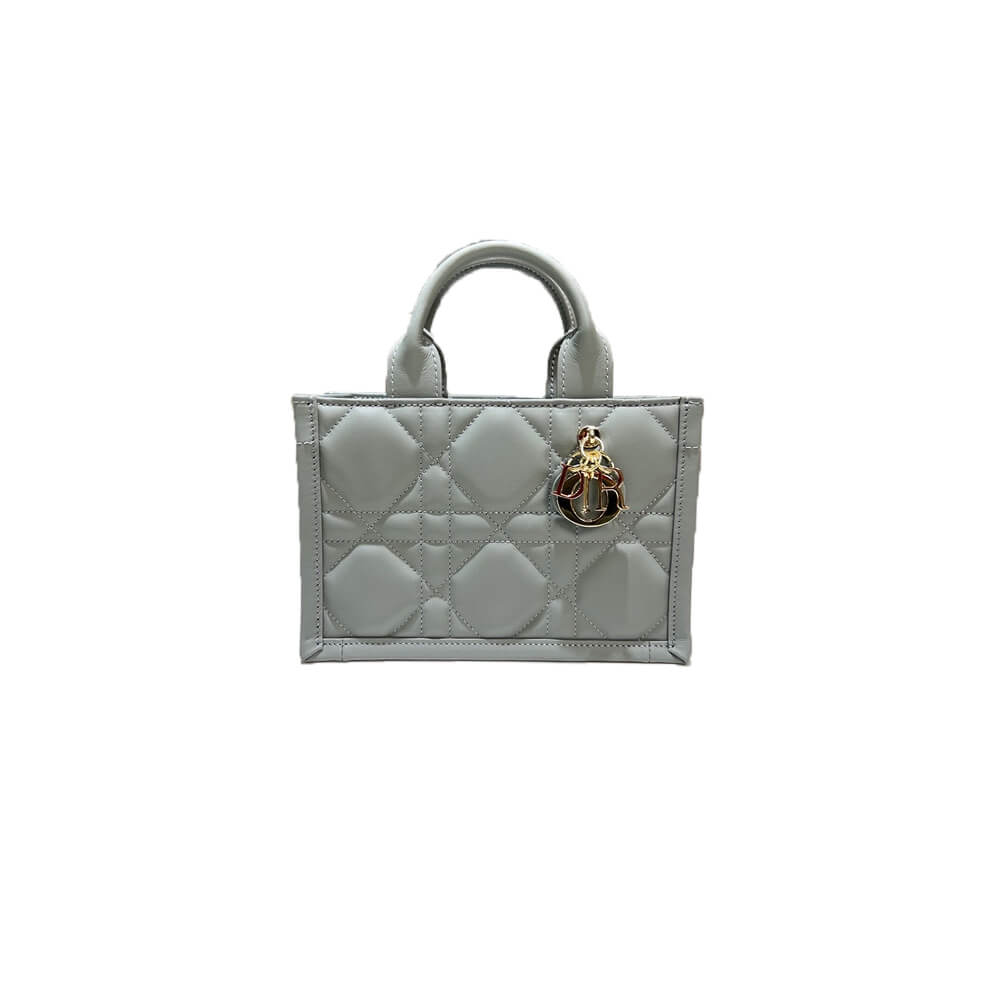 Mini Dior Book Tote