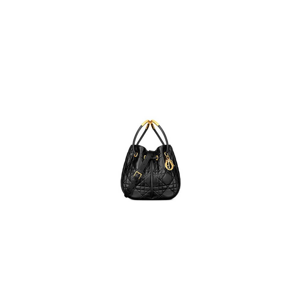 Medium Dior Nolita Bag